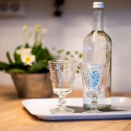 Paulsen Schobuell Daire Halebull