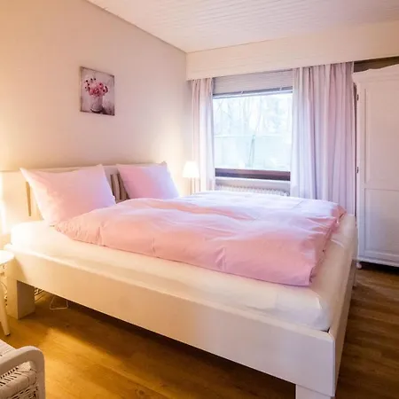 Paulsen Schobuell * Halebull