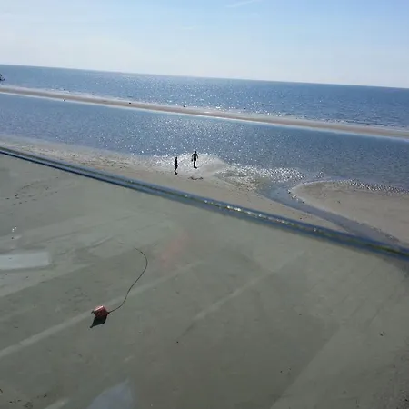 Paulsen Schobuell * Halebull