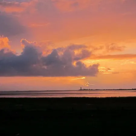 Paulsen Schobuell * Halebull