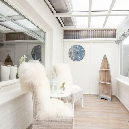 Paulsen Schobuell Daire Halebull