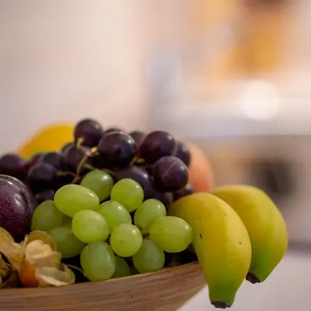 Paulsen Schobuell Daire *