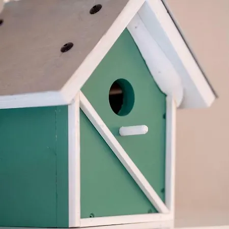 Paulsen Schobuell Halebull