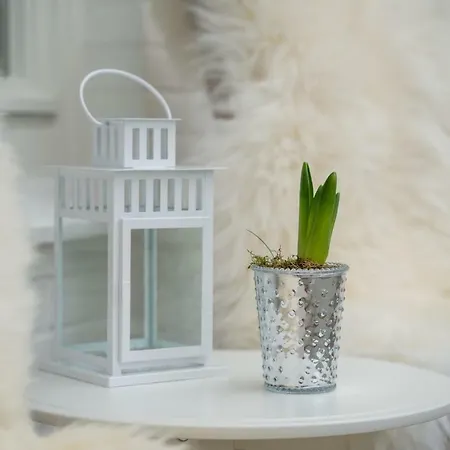 Апартаменты Paulsen Schobuell Halebull