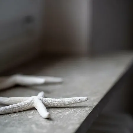 Paulsen Schobuell * Halebull