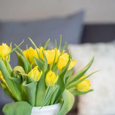 Paulsen Schobuell Daire *