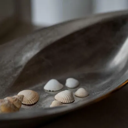 Paulsen Schobuell Daire *