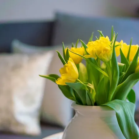 Daire Paulsen Schobuell