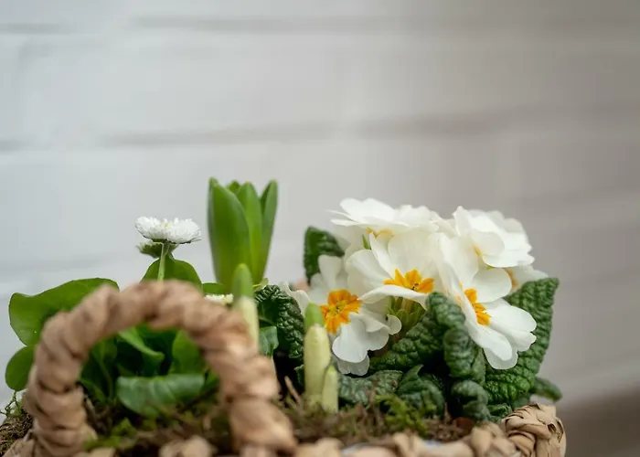 Paulsen Schobuell Appartamento *